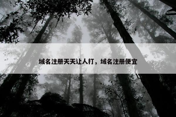 域名注册天天让人打，域名注册便宜