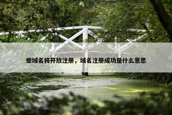 些域名将开放注册，域名注册成功是什么意思