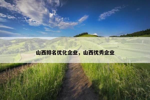 山西排名优化企业，山西优秀企业