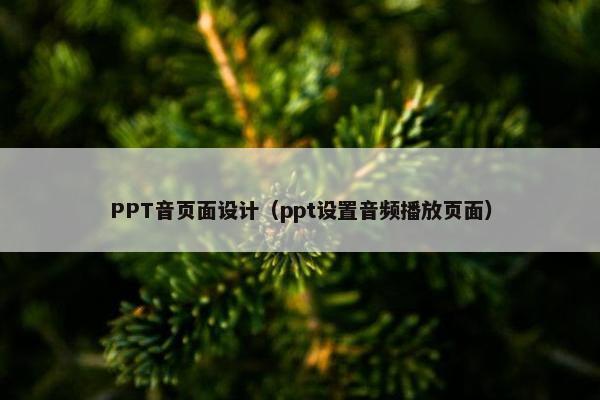 PPT音页面设计（ppt设置音频播放页面）