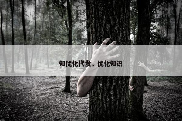 知优化代发，优化知识