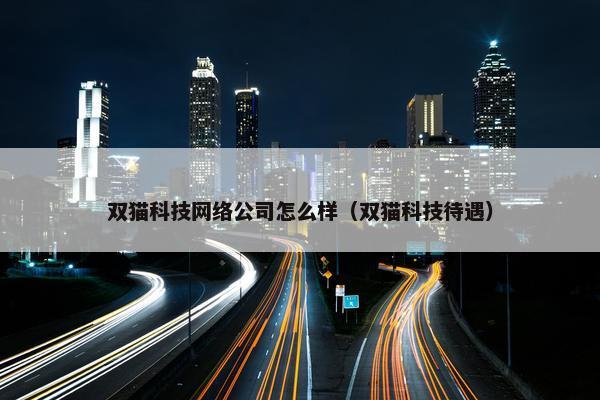 双猫科技网络公司怎么样（双猫科技待遇）