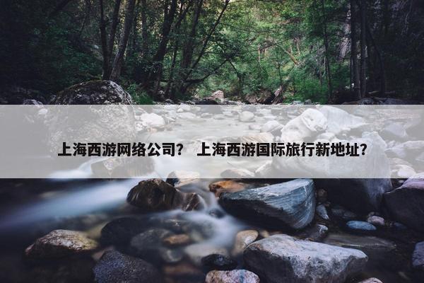上海西游网络公司？ 上海西游国际旅行新地址？