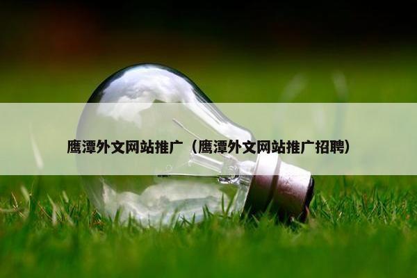 鹰潭外文网站推广（鹰潭外文网站推广招聘）
