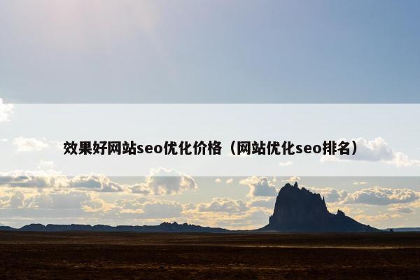 效果好网站seo优化价格（网站优化seo排名）