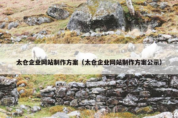 太仓企业网站制作方案（太仓企业网站制作方案公示）