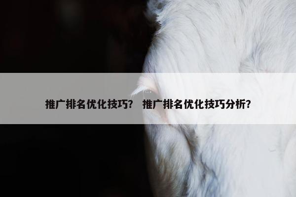 推广排名优化技巧？ 推广排名优化技巧分析？