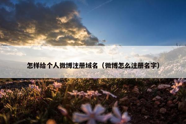 怎样给个人微博注册域名（微博怎么注册名字）