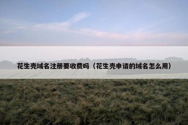 花生壳域名注册要收费吗（花生壳申请的域名怎么用）