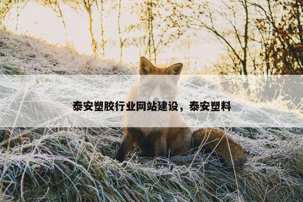 泰安塑胶行业网站建设，泰安塑料