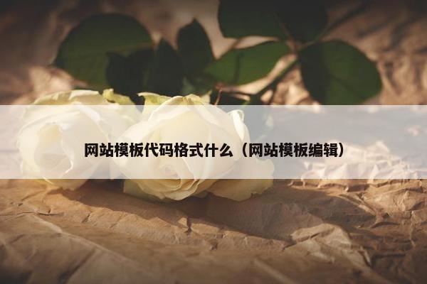 网站模板代码格式什么（网站模板编辑）