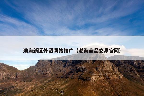 渤海新区外贸网站推广（渤海商品交易官网）