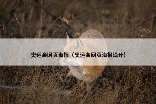 奥运会网页海报（奥运会网页海报设计）