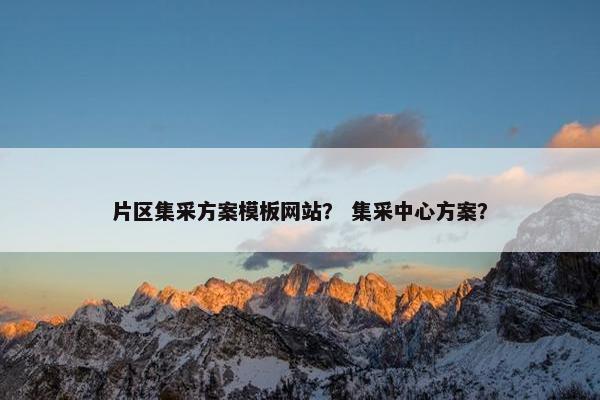 片区集采方案模板网站？ 集采中心方案？