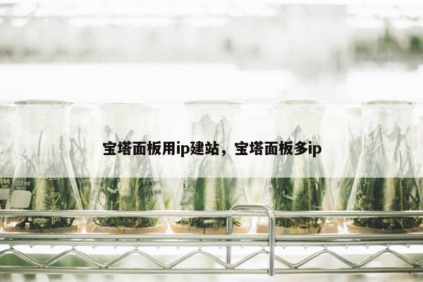 宝塔面板用ip建站，宝塔面板多ip